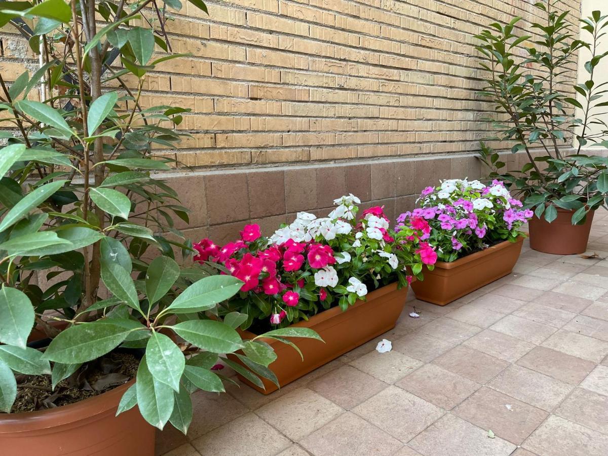 Flowers In Rom